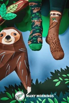 Sloth Life